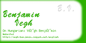 benjamin vegh business card